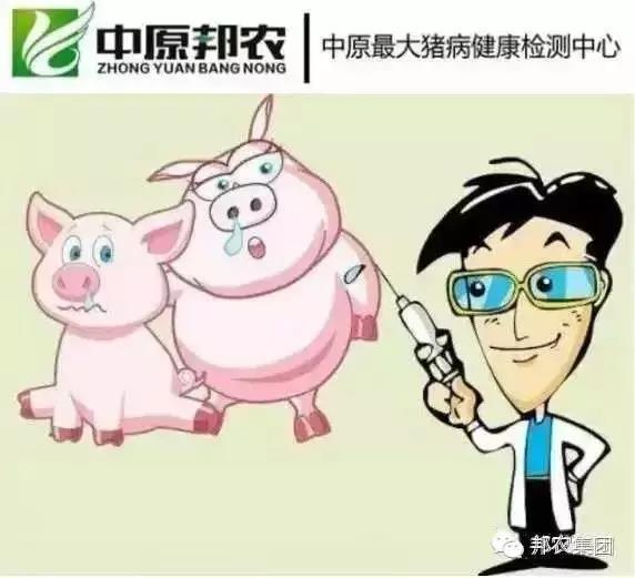 中原邦農(nóng)豬病健康檢測中心.jpg