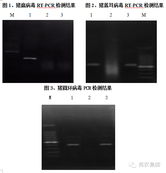 抽樣檢測結果.png