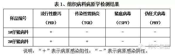 病原檢測結果.jpg