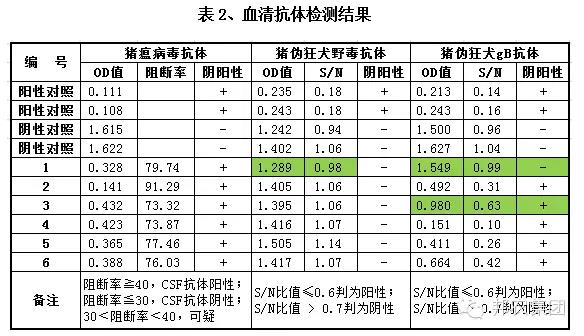 血清抗體(tǐ)檢測結果.jpg