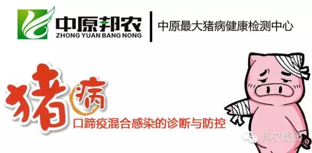 中原邦農(nóng)豬病健康檢測中心1.jpg