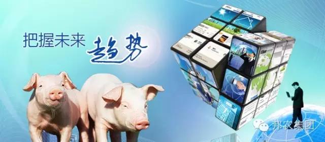 中原邦農(nóng)——品質赢天下(xià).jpg 【中原邦農(nóng)】未來(lái)3~5年(nián),誰還(hái)在養豬,誰還(hái)能(néng)養豬?