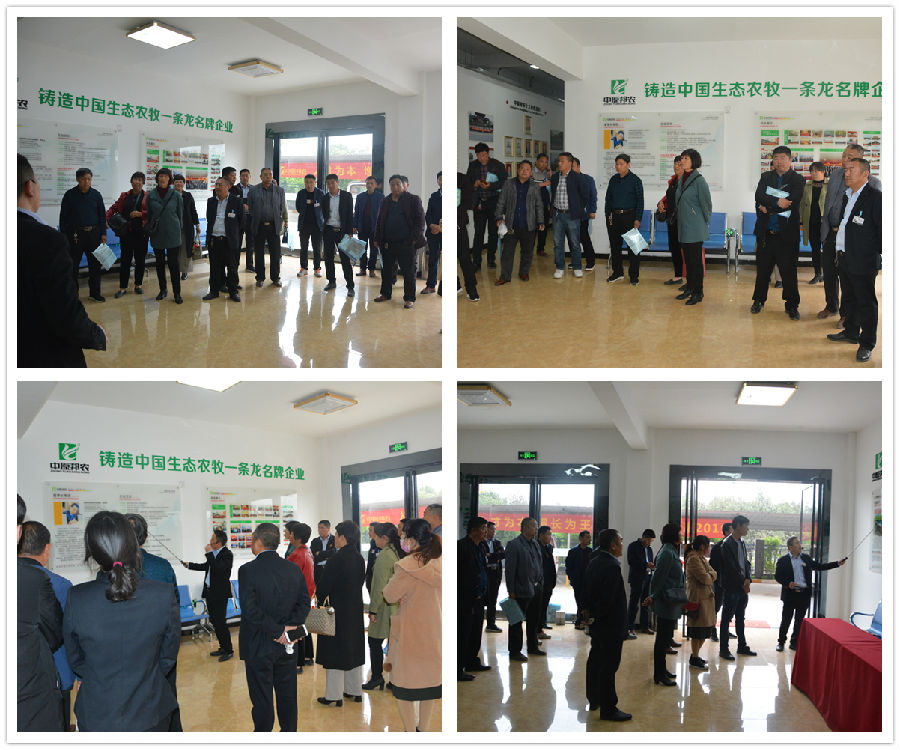 2、參觀企業(yè)文(wén)化(huà)1.jpg