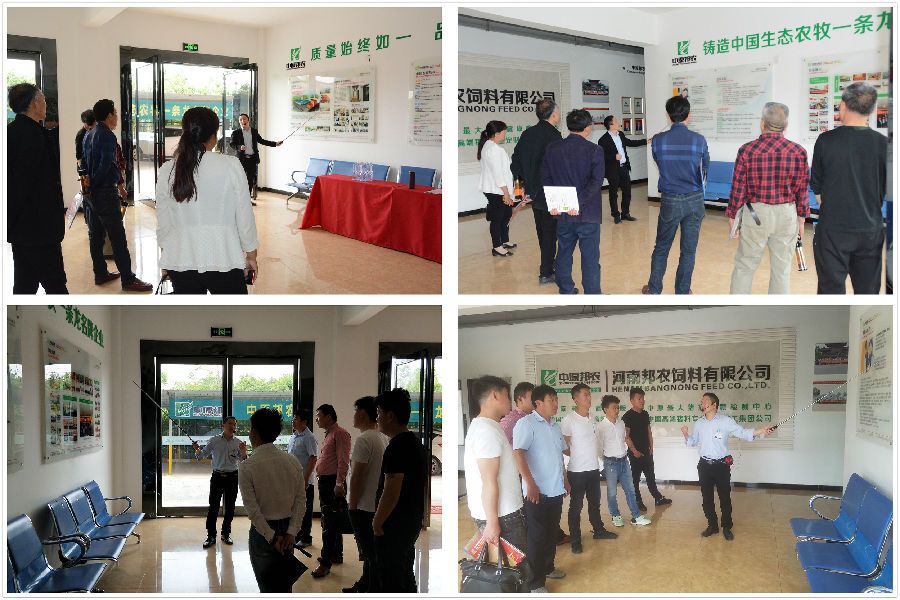 2、參觀企業(yè)文(wén)化(huà).jpg
