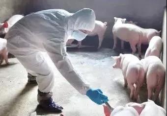 疫苗一(yī).jpg