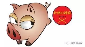 規模豬場(chǎng)疾病防控3.jpg