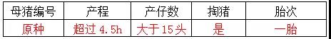 母豬産後恢複9.jpg